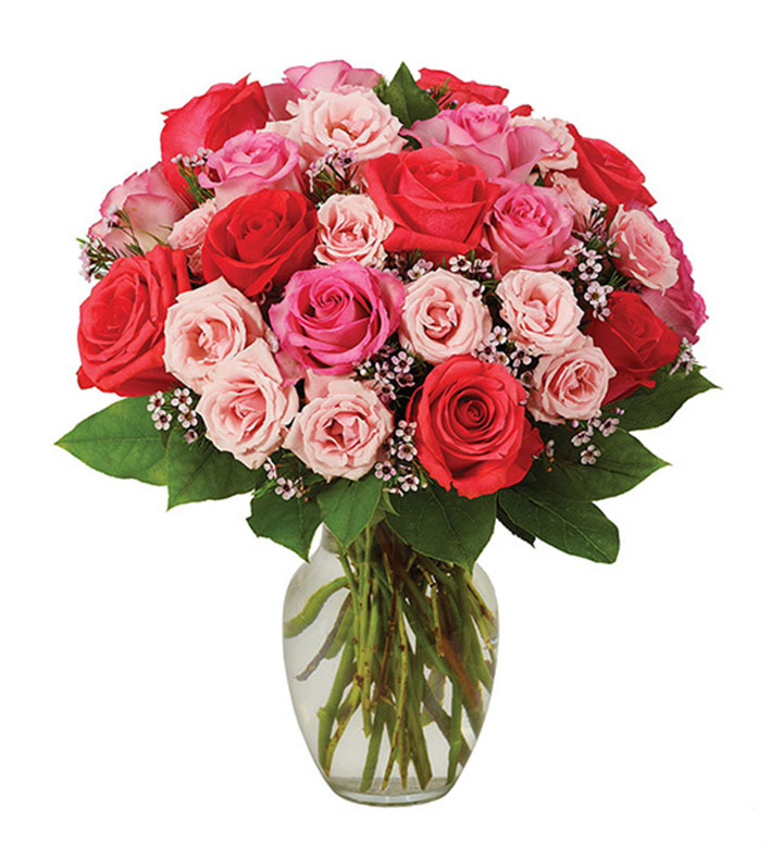 Sweetest Pink Roses, 15-24 Stems